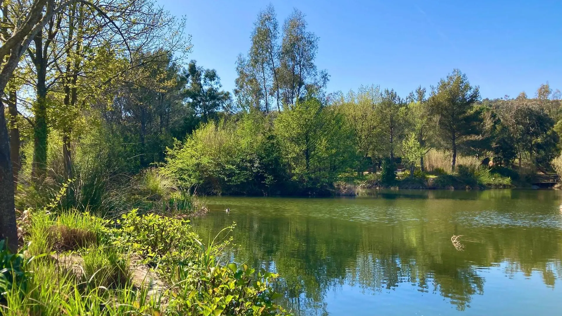 Les Restanques 2036 Rez Jardin Jonquilles Apartment Grimaud France